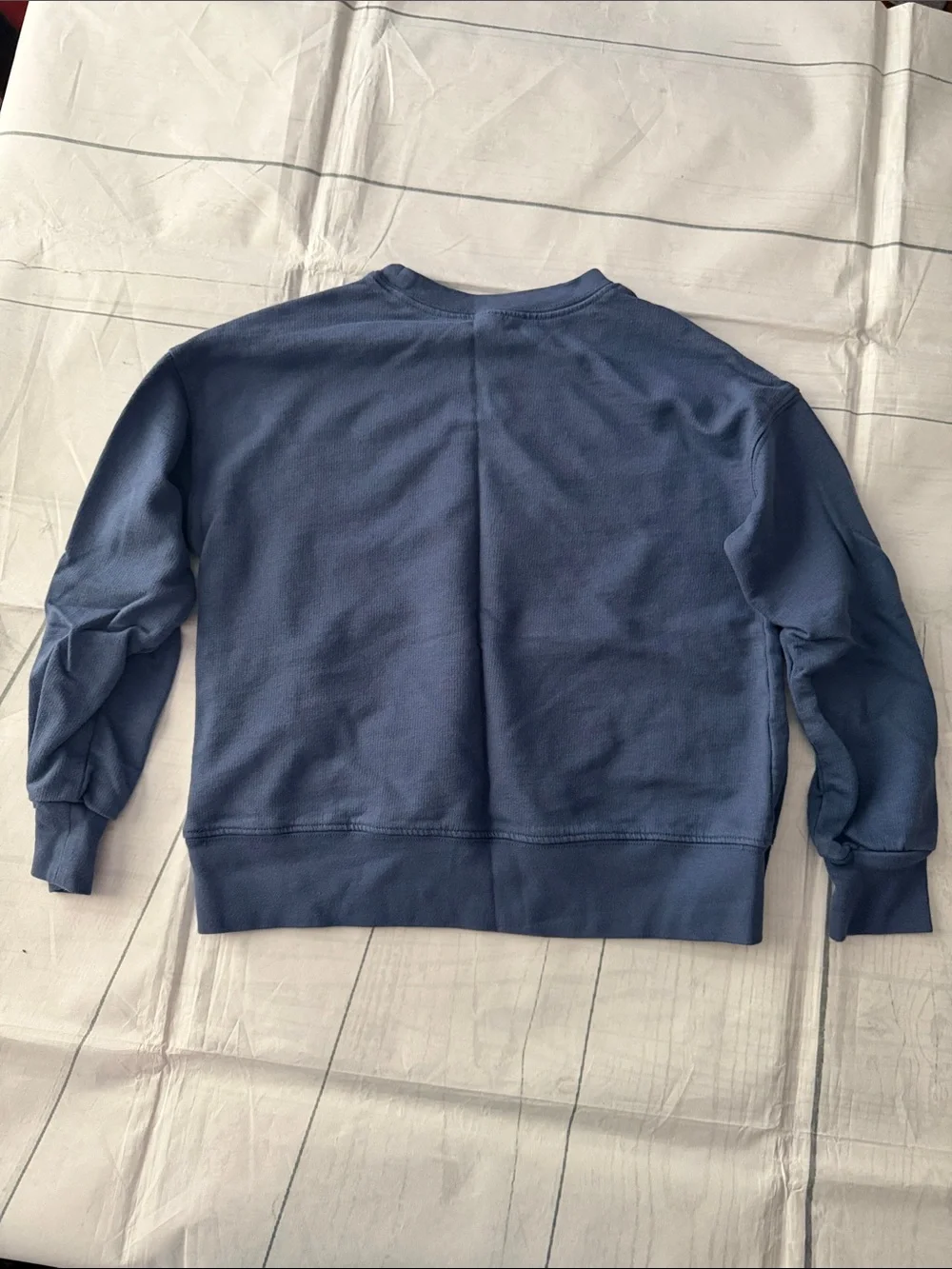 Blue Graphic Butterfly Sweatshirt